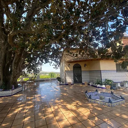 Rustic Charm, Olivo With Private Bathroom And Unique Views Casa de hóspedes