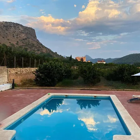 In Guest - Charming Olive M Guest house Alzira