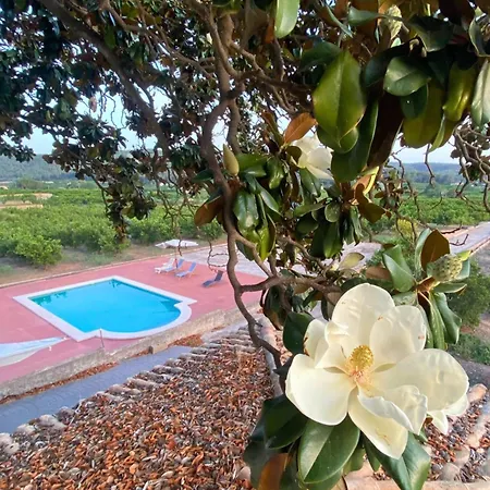 In Guest - Charming Olive M Guest house *