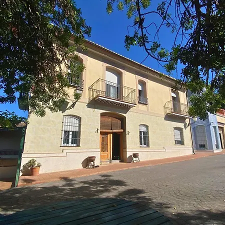 In Guest - Charming Olive M Guest house Alzira