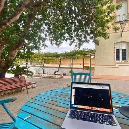 In Guest - Charming Olive M Guest house Alzira
