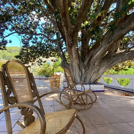 Rustic Charm, Olivo With Private Bathroom And Unique Views Casa de hóspedes