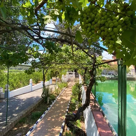 Guest house In Guest - Charming Olive M