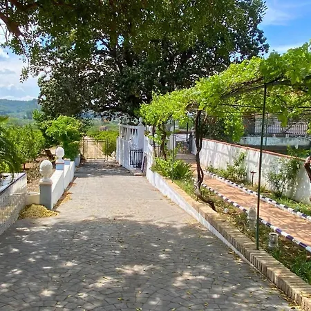 Guest house In Guest - Charming Olive M Alzira