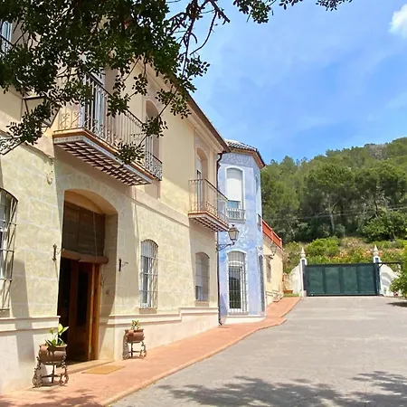 In Guest - Charming Olive M Alzira